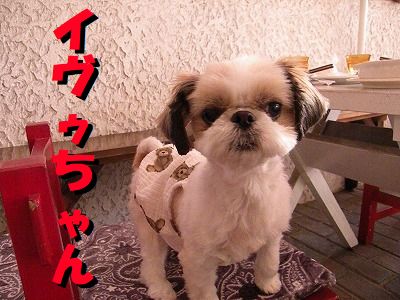 ギャラリー