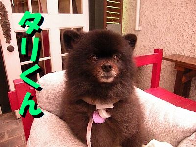 ギャラリー