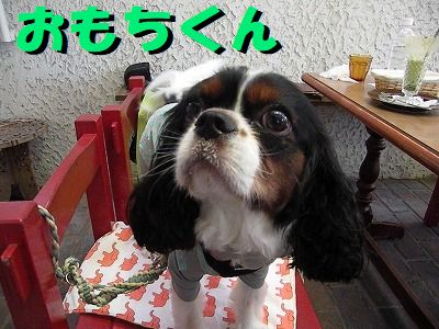 ギャラリー
