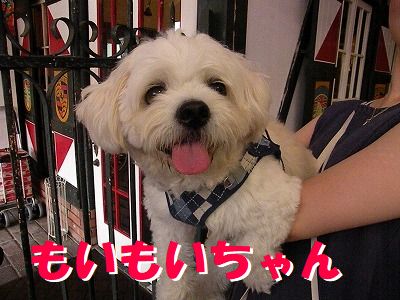 ギャラリー
