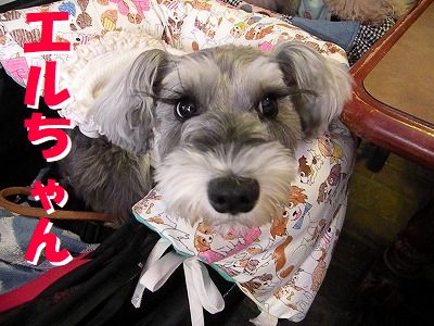 ギャラリー