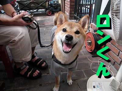 ギャラリー