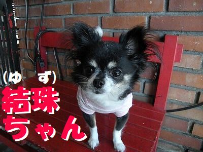 ギャラリー