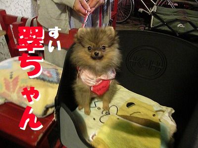 ギャラリー